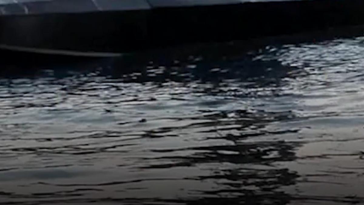 drona navala de atac a rusiei la cateva sute de metri de neptun deep a fost distrusa cu tunul de bord de un f 16 romanesc