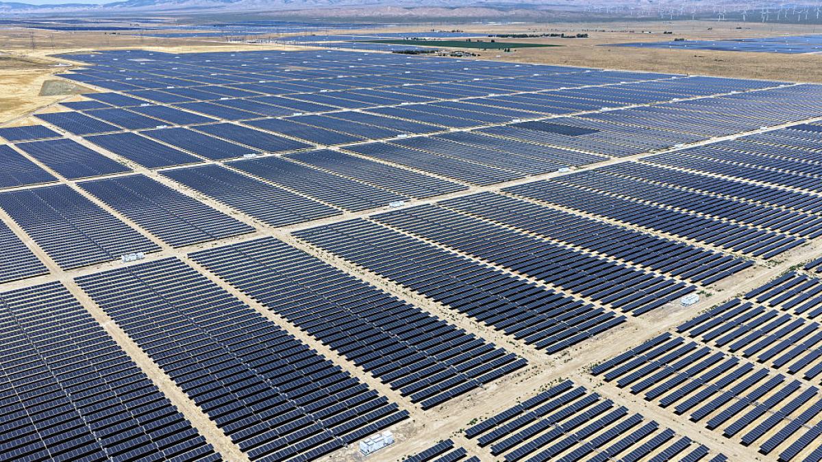 studiu extinderea suprafetei pentru panouri solare afecteaza pasarile o dilema ecologica majora