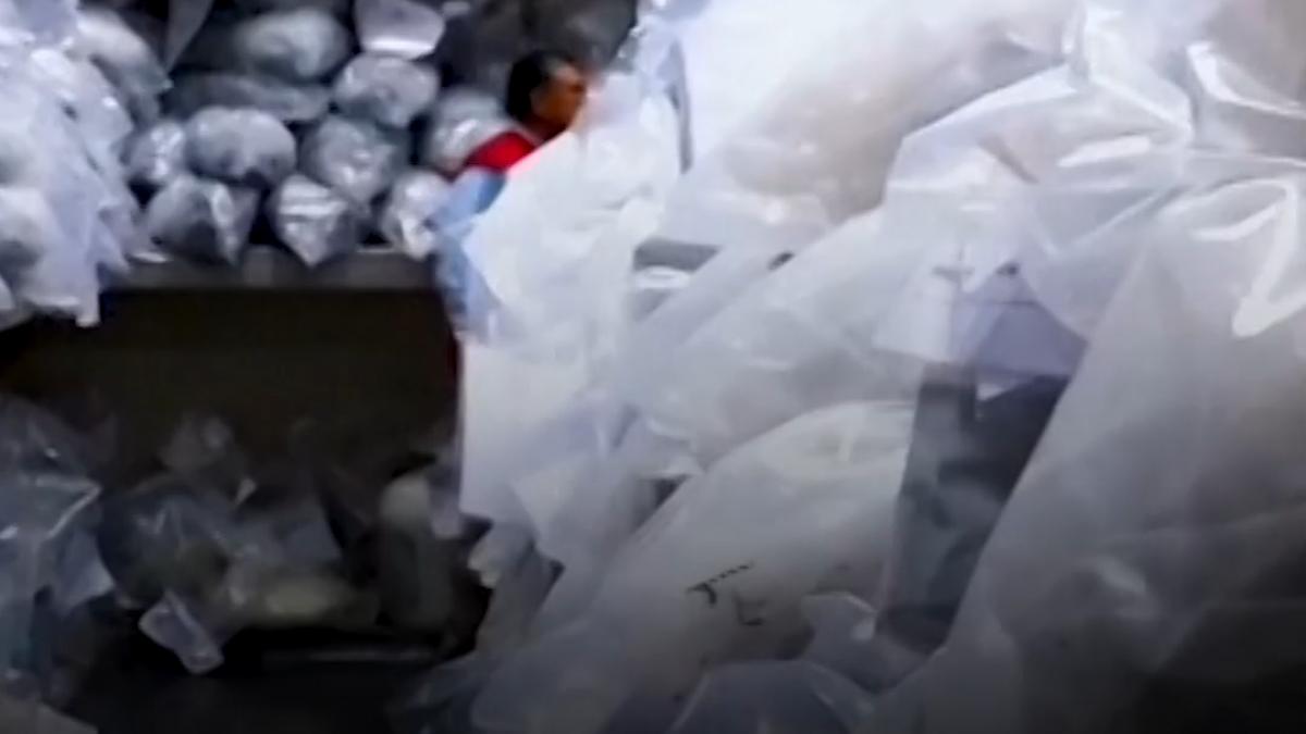 peste 9 3 tone de droguri confiscate de autoritatile din peru au fost distruse prin incinerare