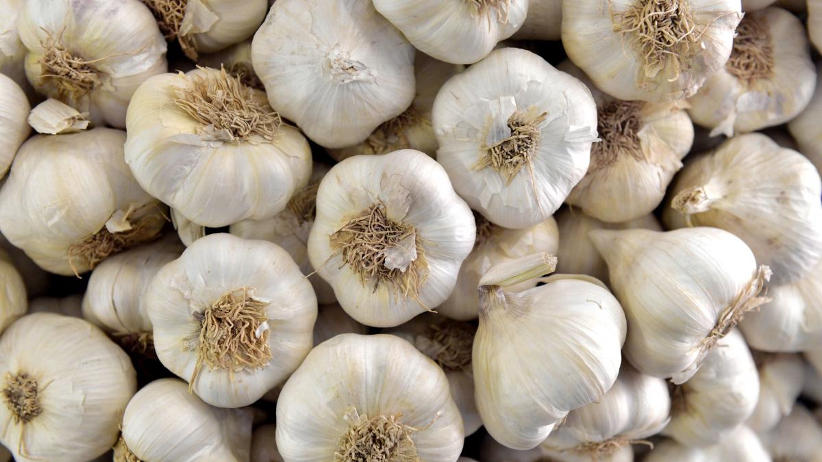 un fermier a dat lovitura cu usturoiul benone soiul e exportat in israel in timp ce piata romaneasca e invadata de usturoi din china