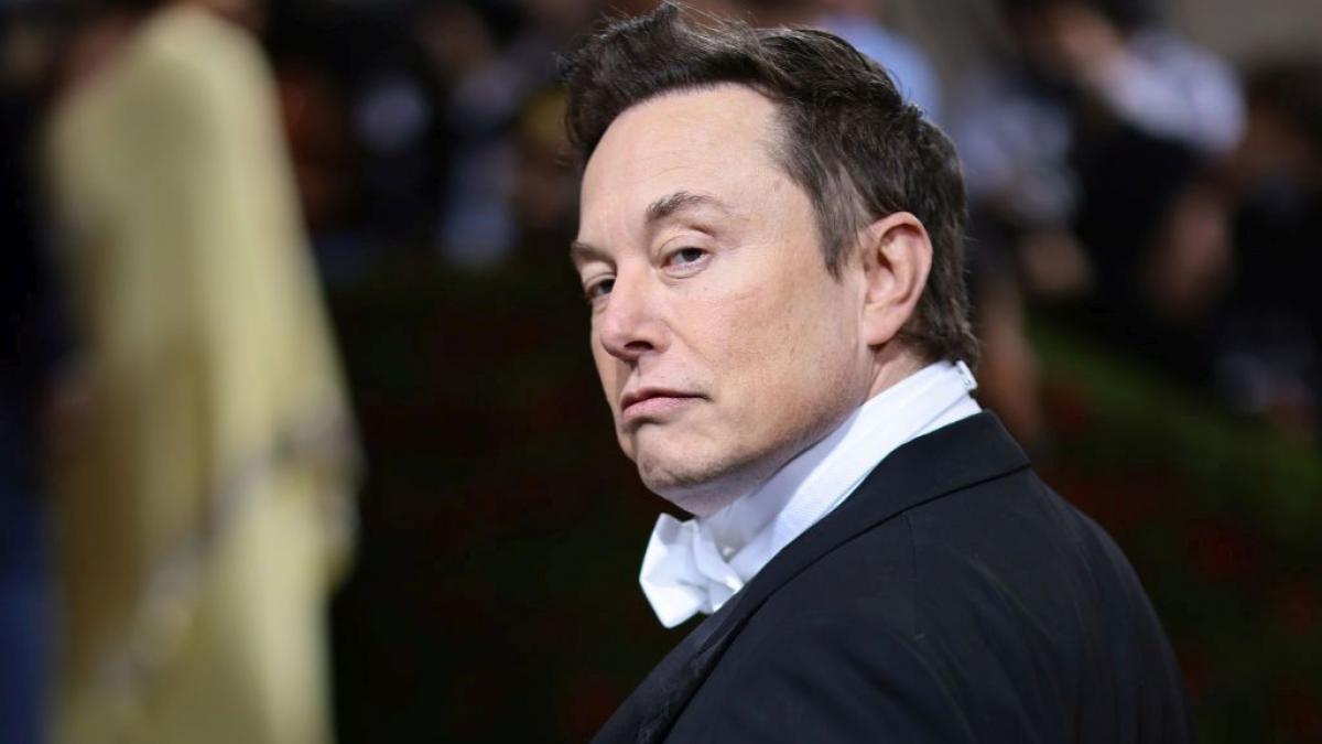 fanii infocati ai lui musk incep sa isi piarda increderea in miliardar tesla pare sa fi devenit o preocupare secundara