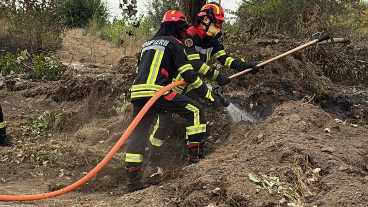 serbia multumeste romaniei pentru interventia pompierilor in incendiile de vegetatie serbia nu va uita acest lucru