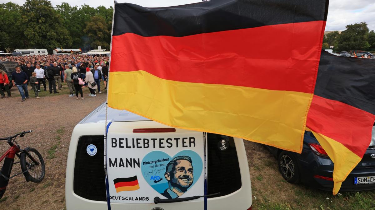 afd ul este pe cale sa strapunga cordonul sanitar al politicii germane ce optiuni iau in calcul partidele clasice