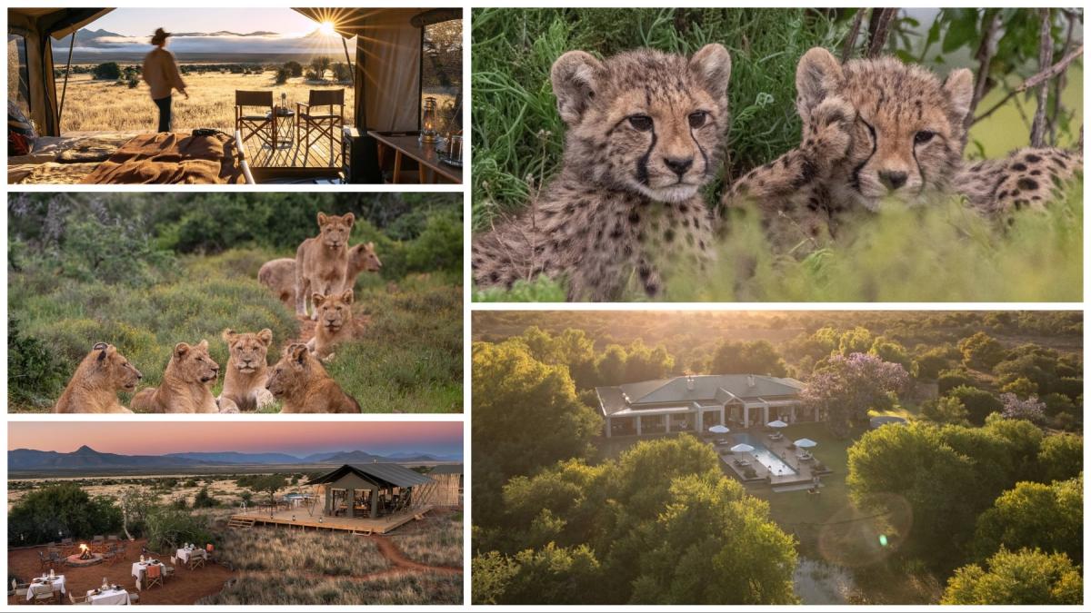 rezervatie naturala samara grand karoo africa de sud safari