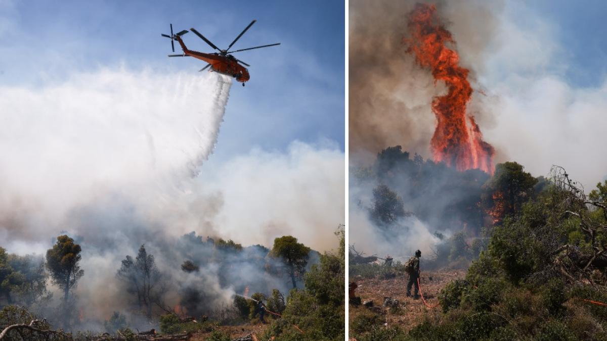 colaj 2 poze cu incendii in Grecia, care s-au produs in luna august 2026