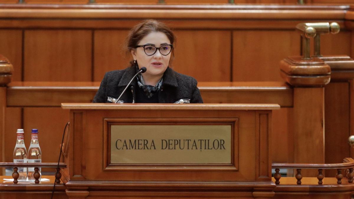 Cristina Trăilă in parlament