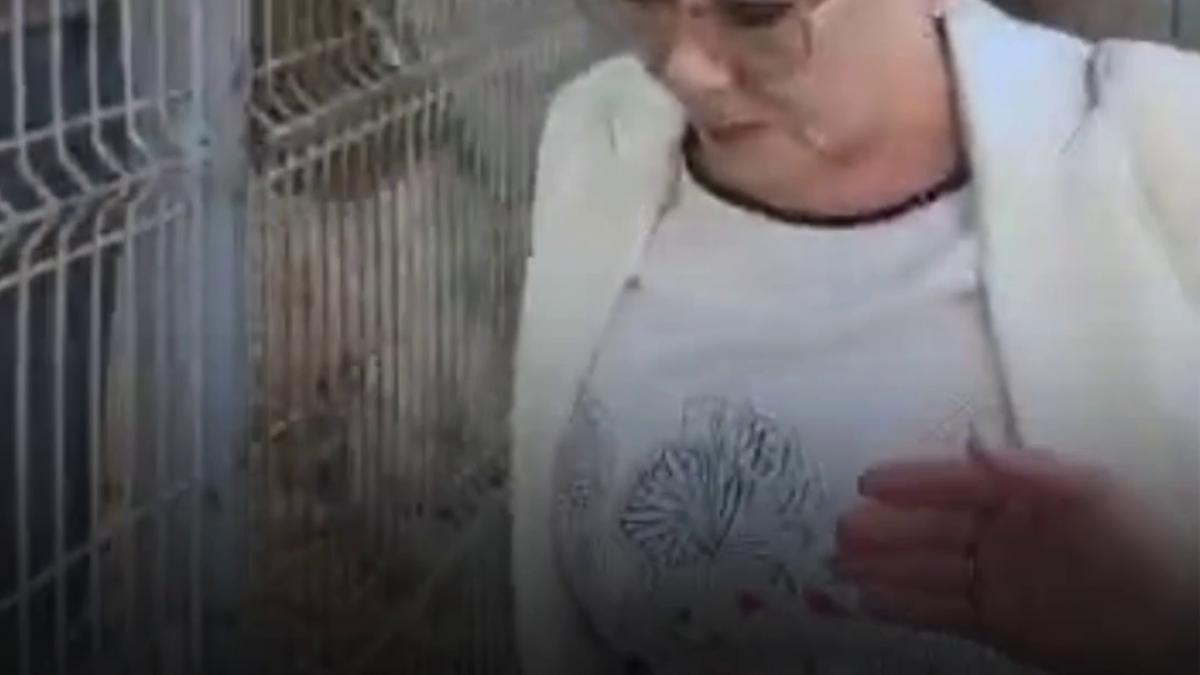 cristina traila audiata la dna iasi in dosarul lui fanel bogos in care apare si numele lui bolojan surse are calitate de suspect