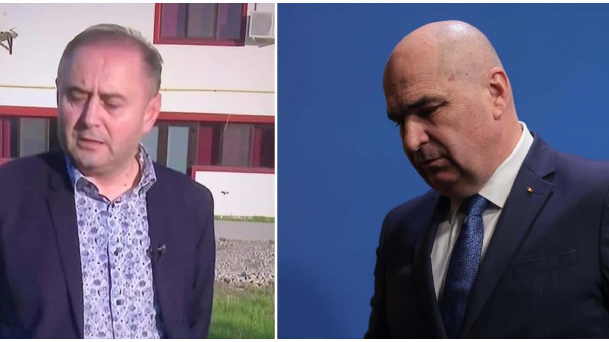 bos si ilie bolojan