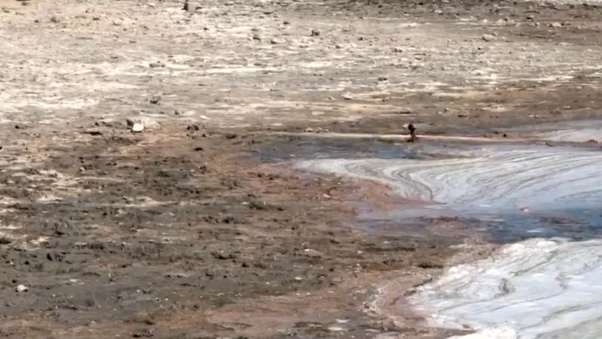 imagini dezolante cu lacul techirghiol care a secat din cauza caldurii extreme ce spun medicii despre namolul terapeutic