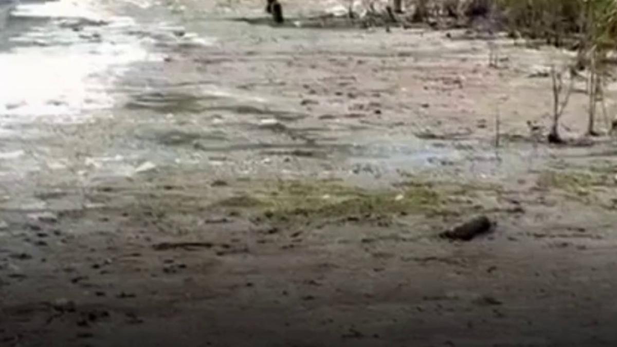 imagini dezolante cu lacul techirghiol care a secat din cauza caldurii extreme ce spun medicii despre namolul terapeutic