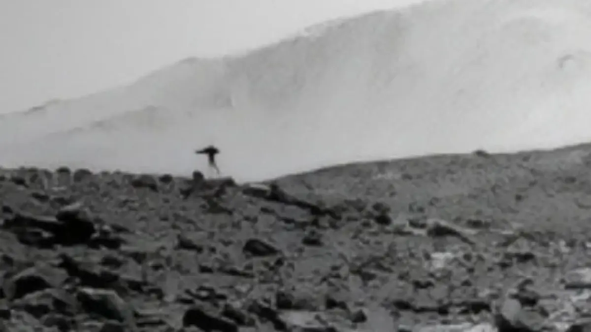 meduza pe marte imaginea surprinsa de roverul curiosity a devenit virala ce este de fapt forma misterioasa