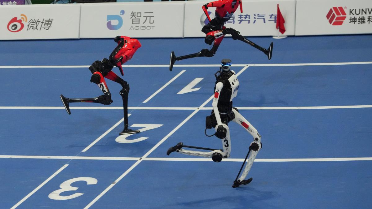 roboti umanoizi