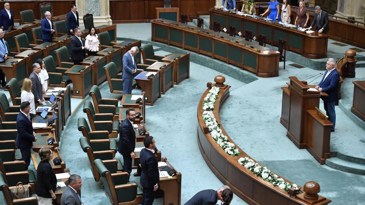 sedinta senat agerpres