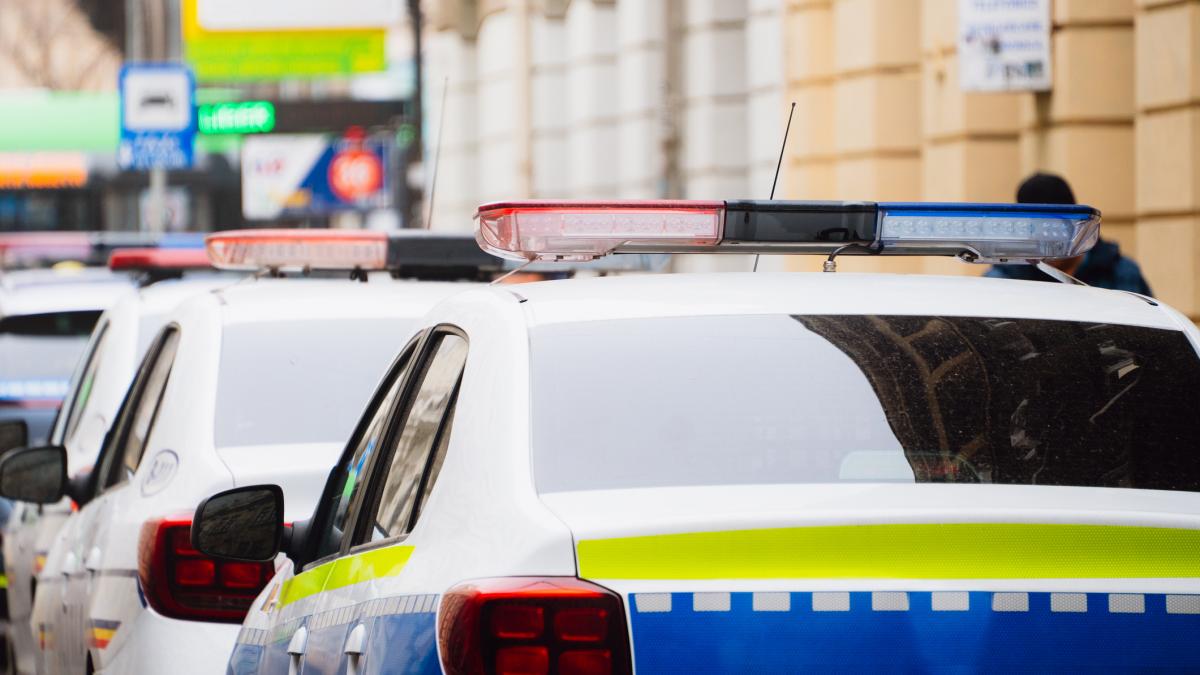 vestul salbatic la tulcea primarul din smardan a vrut sa vanda un utilaj unui om din hunedoara au ajuns la bataie si un foc de arma