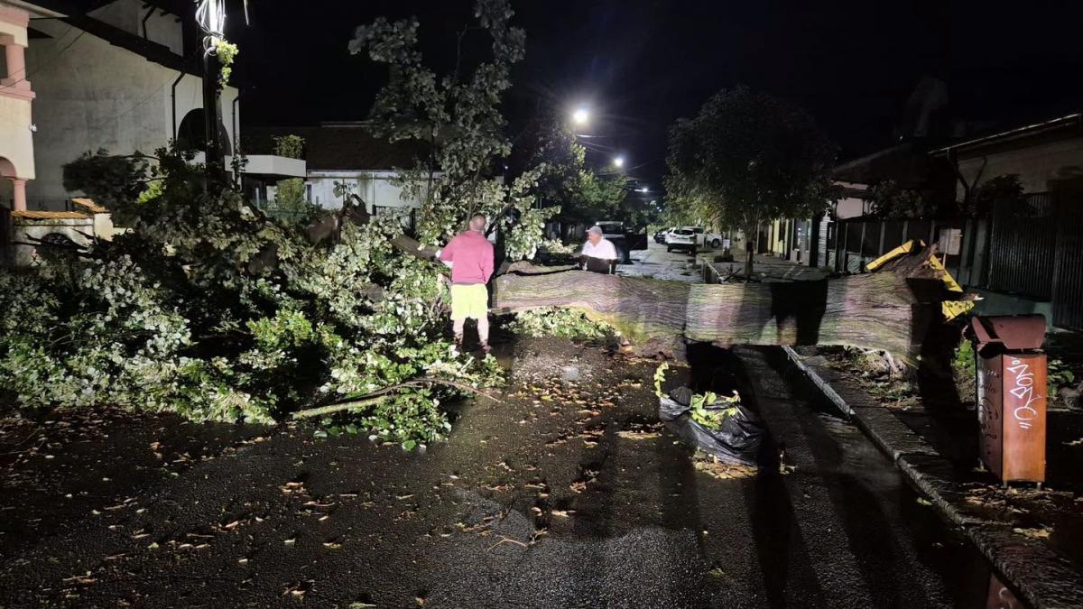 furtunile au facut prapad in sudul romaniei tromba marina la constanta copaci smulsi si strazi blocate in oltenita