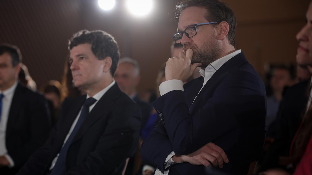 liderii usr furiosi dupa ce nicusor dan a promulgat legea ani diana buzoianu a publicat o fotografie de doliu