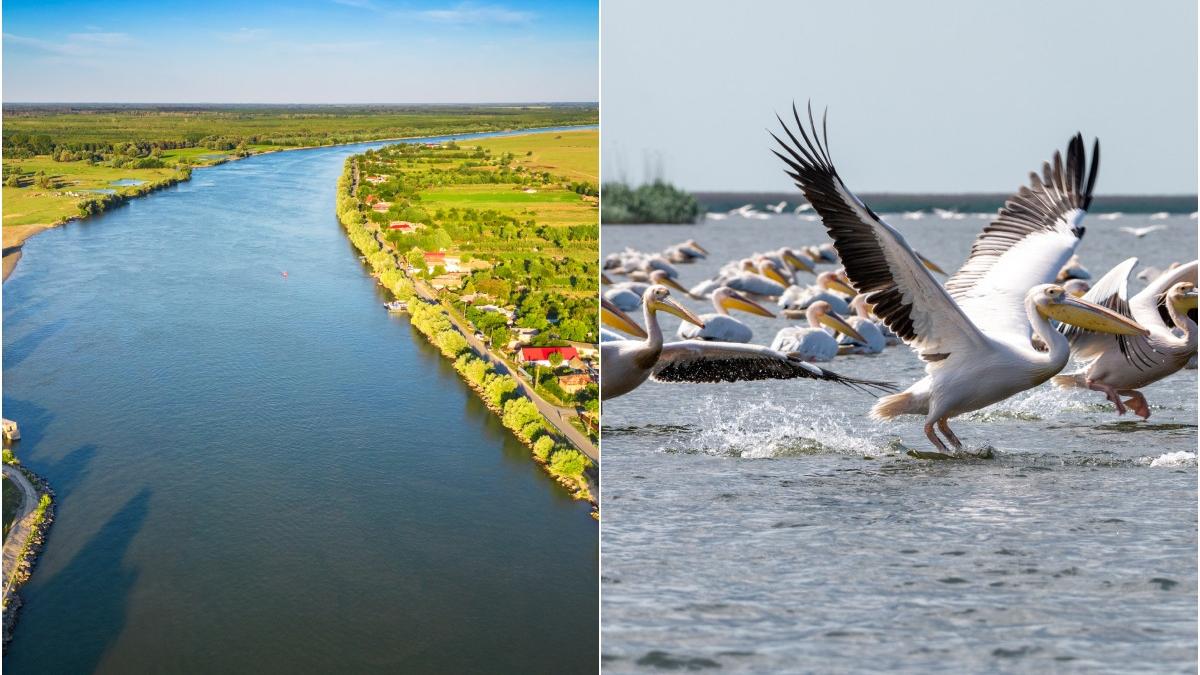spectacolul deltei in cel mai estic oras al romaniei sulina locul in care dunarea intalneste marea neagra