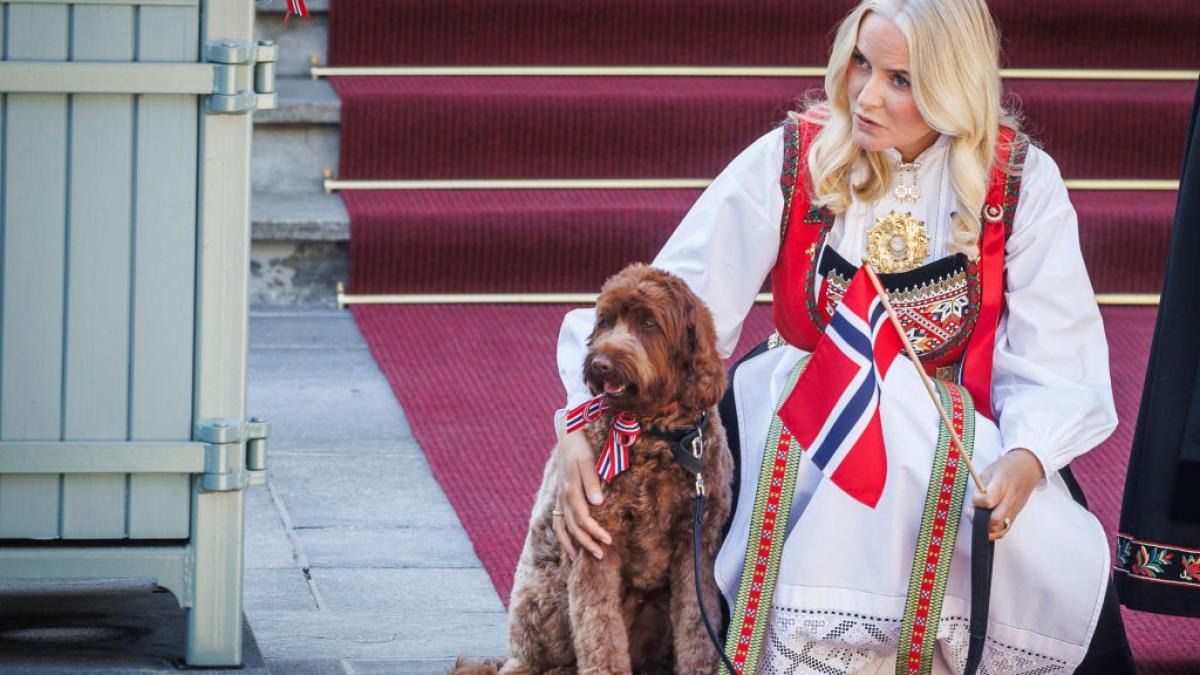 mette marit noua regina a norvegiei de la o viata nebunatica la palatul regal povestea cenusaresei care a ajuns pe tron