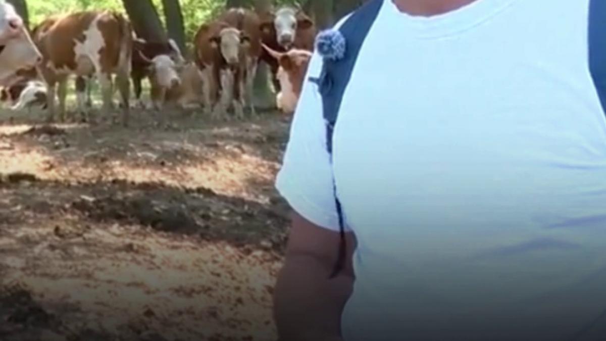un fermier din buzau a ajuns sa isi supravegheze vacile cu drona pentru ca nu mai gaseste oameni sa ii angajeze