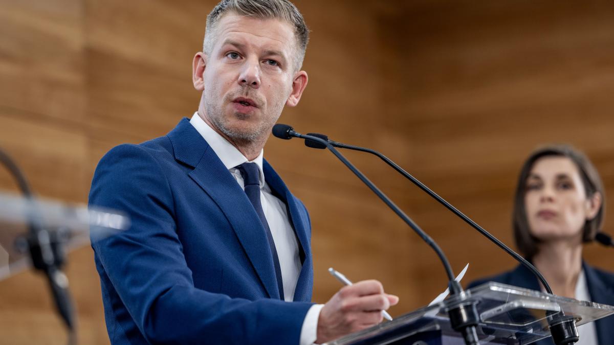 peter magyar ataca dur bruxelles ul exista o lipsa de leadership trebuie sa decidem daca vrem doar sa supravietuim sau sa castigam