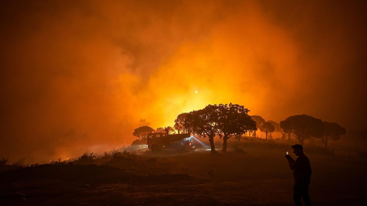 Incendiu de vegetaţie în districtul Gömeç din provincia Balıkesir, Turcia, pe 29 iulie 2026 