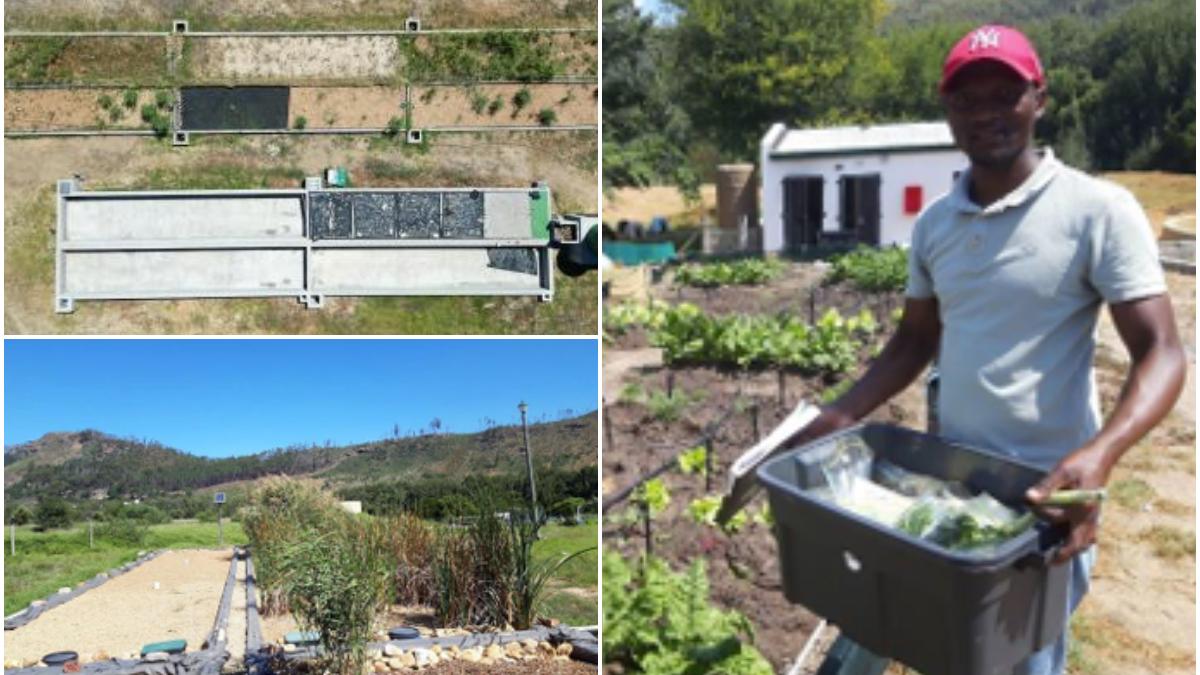 cum a curatat un oras din africa de sud un rau poluat folosind pietre lemn si nisip 36 000 de litri de apa sunt filtrati zilnic