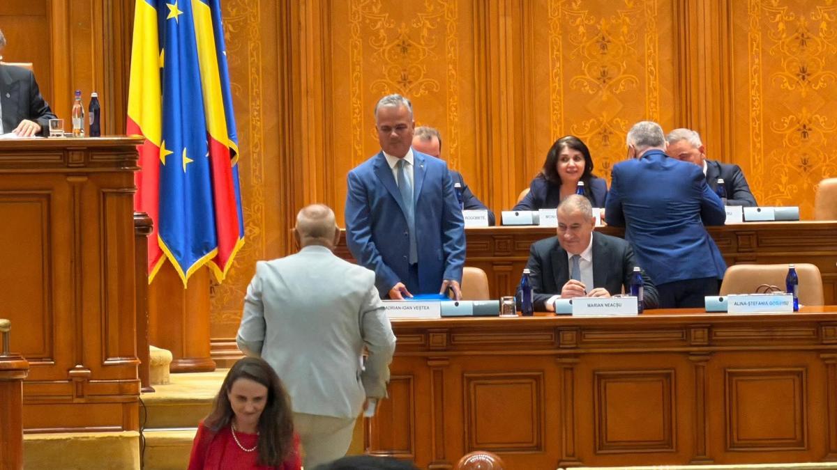 parlamentarii pnl care au votat pentru guvernul vestea alaturi de psd isi pierd functiile de la senat si camera deputatilor