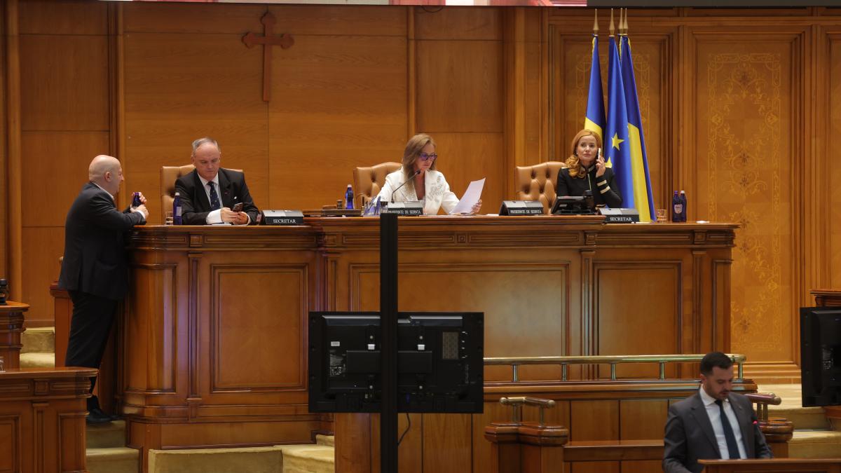 pnl si usr au iesit din prima sedinta de plen a camerei deputatilor si ameninta cu greva din cauza ca aur a primit o functie in plus