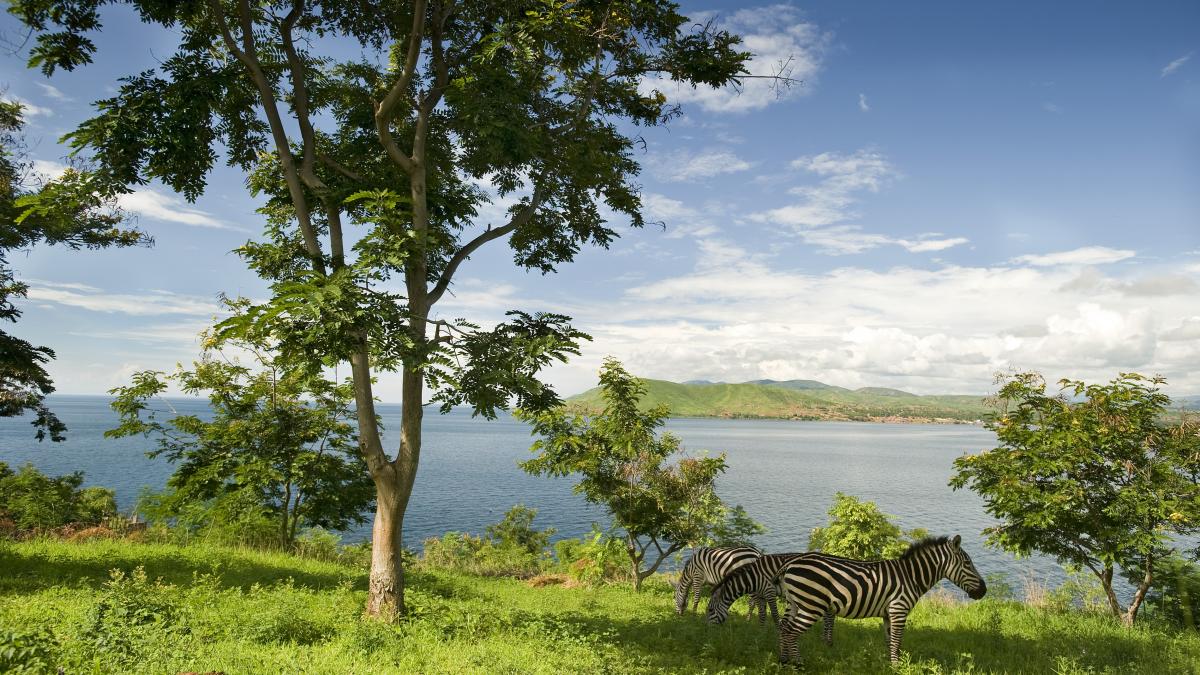 un miliardar american a anuntat ca si vinde insula din tanzania cu 7 9 milioane de dolari tara il contrazice pamantul nu ii apartine