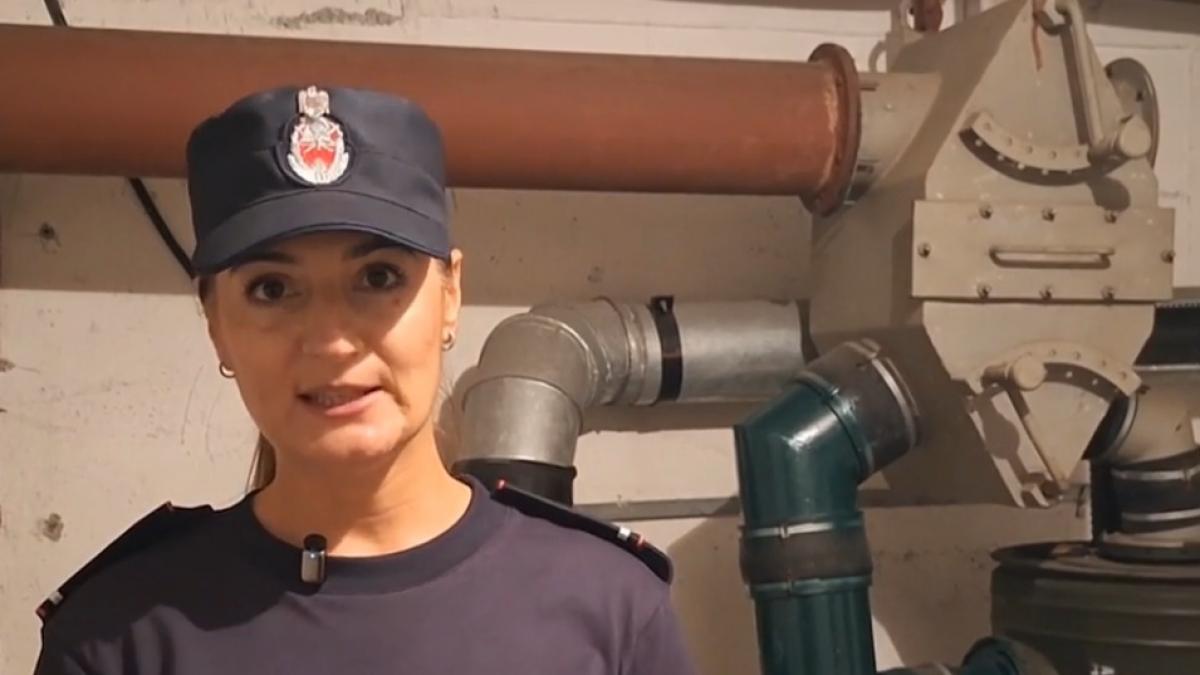cati romani pot fi protejati in adaposturile civile in caz de pericol numarul acestor constructii a scazut dramatic in ultimii ani