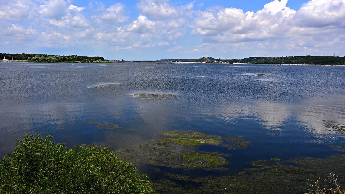 niste pescari de pe valea oltului au gasit o conducta care varsa apa uzata in rau luati de mancati peste sanatos
