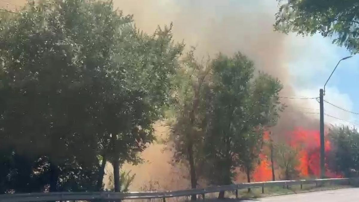 incendiu violent de vegetatie la intrarea in braila dinspre galati traficul pe dn22 b a fost deviat