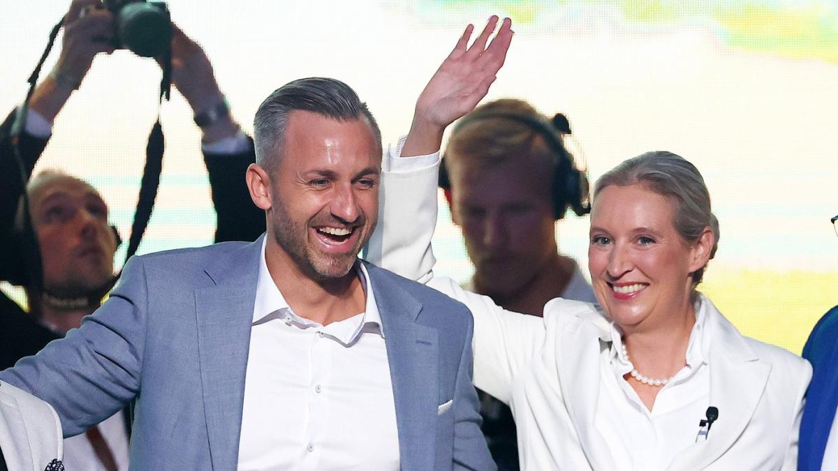 cine este ulrich siegmund omul care poate aduce afd la guvernare in saxonia anhalt planuieste o ofensiva a deportarilor