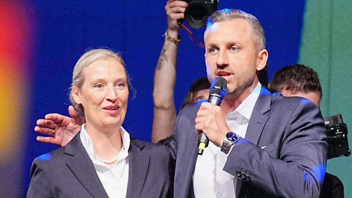 bbc un cutremur social si politic ce inseamna pentru europa victoria istorica a extremei drepte in germania