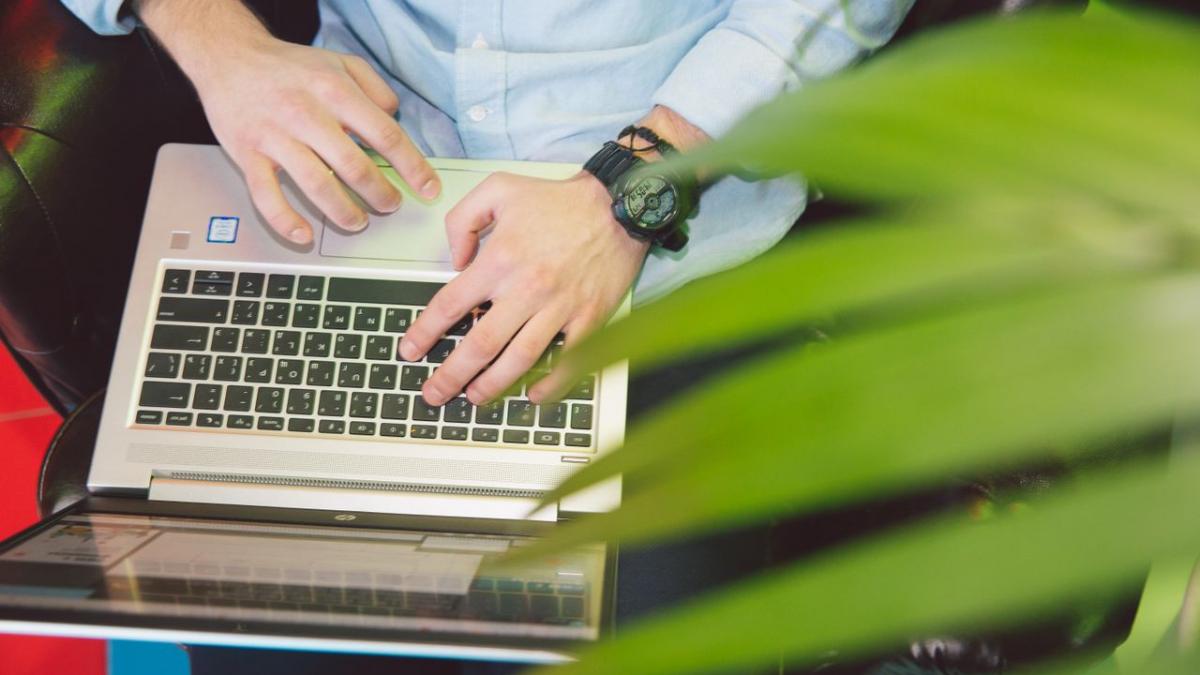 bărbat pe laptop cu o planta verde in cadru 