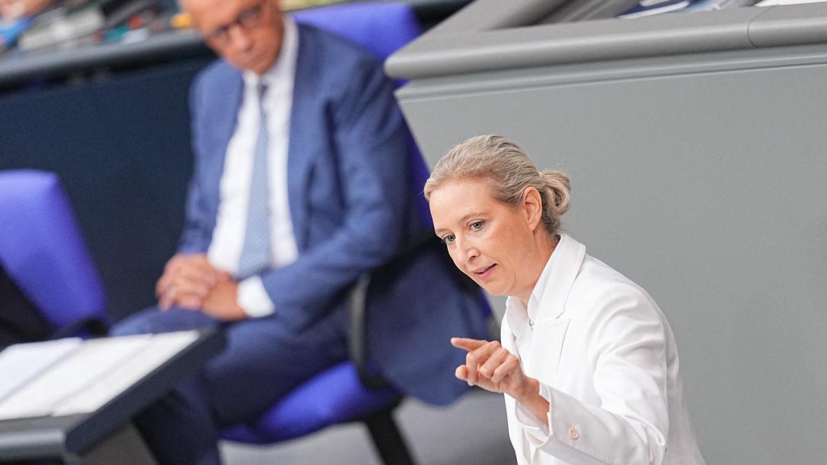 scandal urias in bundestag alice weidel si friedrich merz s au certat dupa victoria afd in saxonia anhalt