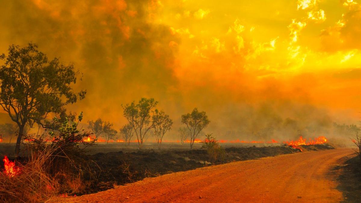 probabilitatea lui super el nino a ajuns la 75 a crescut spectaculos de acum o luna sanse mari ca 2027 sa fie un an de foc