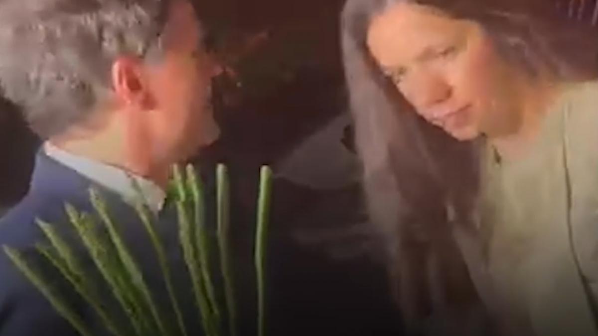 nicusor dan a ajuns la nunta anului in politica impreuna cu partenera