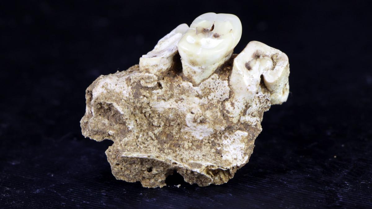 descoperire arheologica