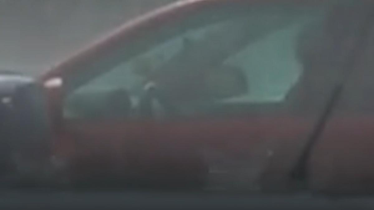 vremea se schimba radical in romania anm a emis cod galben de ploi torentiale si vijelii harta judetelor vizate