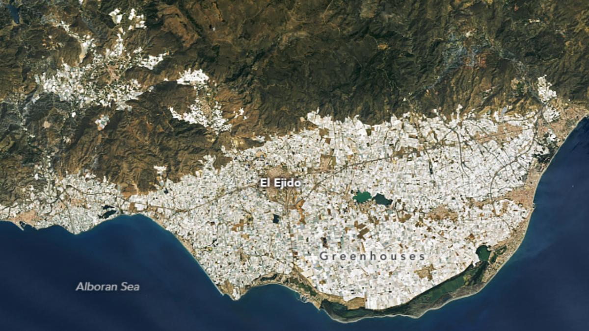 in anii 50 campo de dalias era o campie arida acum 33 000 de hectare de sere produc peste 4 milioane de tone de legume si fructe