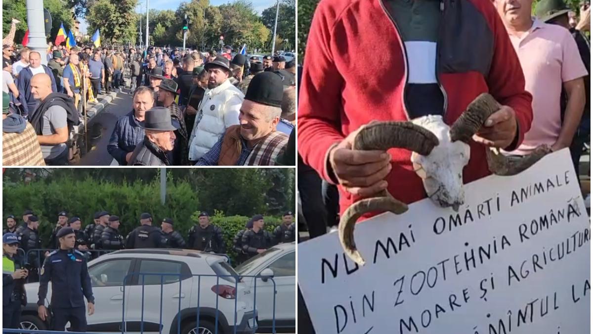 protest neautorizat al fermierilor in fata guvernului sunt filtre la intrarea in bucuresti autoritatile sunt in alerta