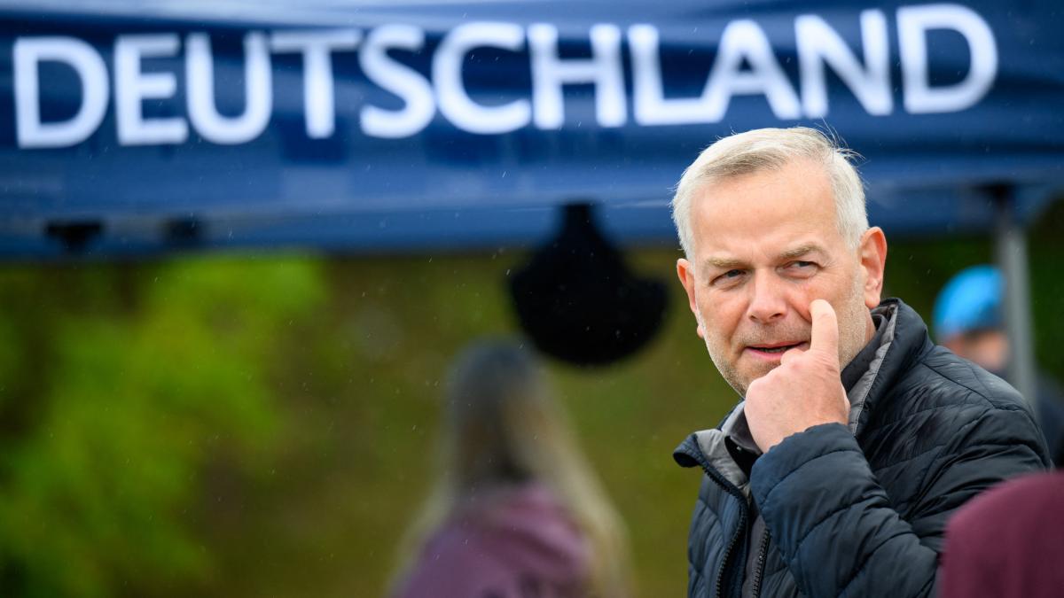 afd pomerania