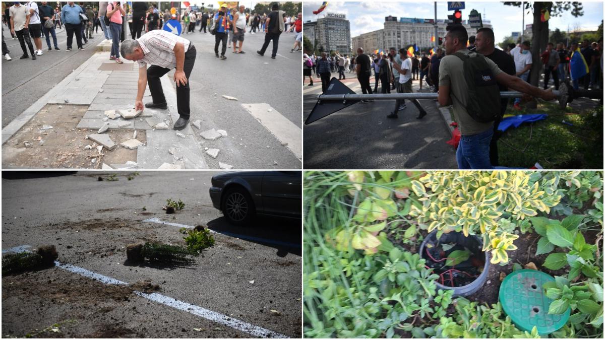 infiltratii la protestul oierilor au smuls borduri si pavaj au distrus spatii verzi si au furat aspersoare imagini cu dezastrul lasat