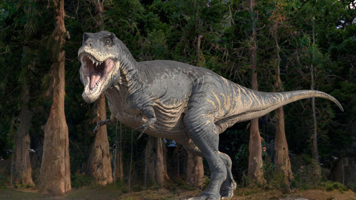 ilustratie t rex