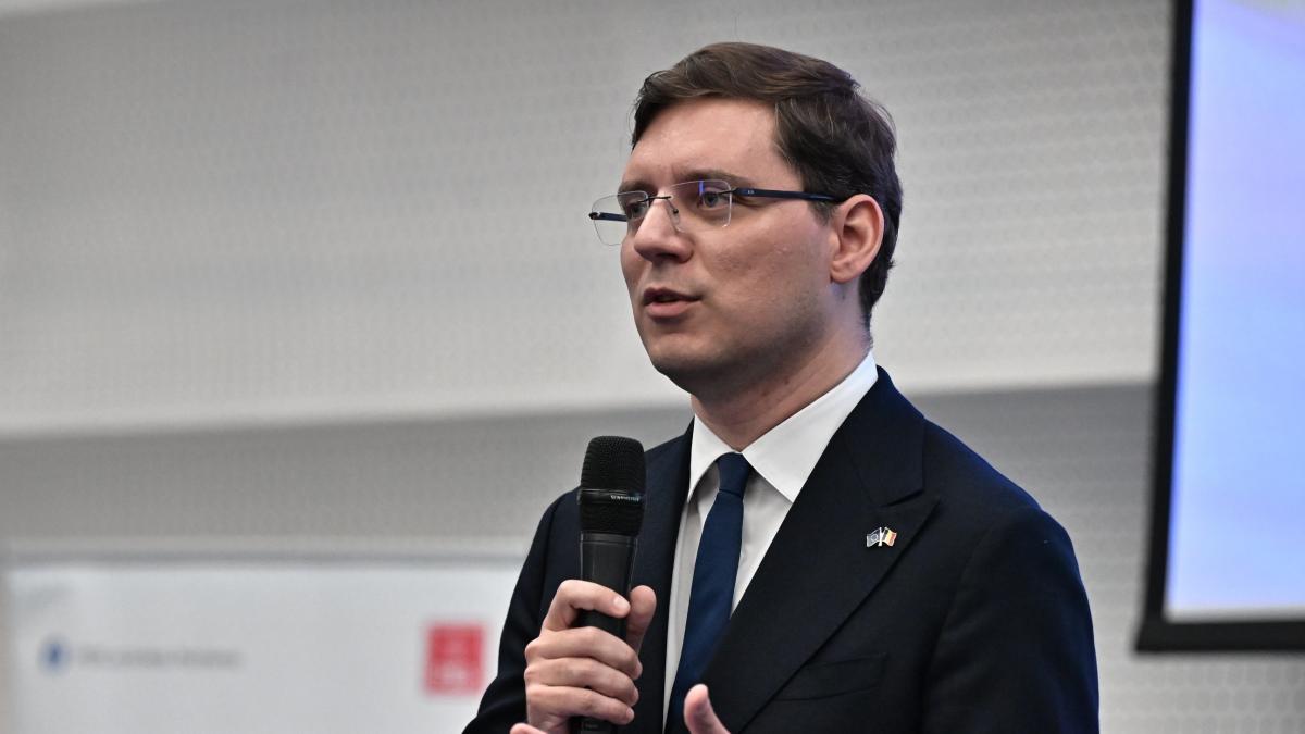 vicepresedintele parlamentului european victor negrescu