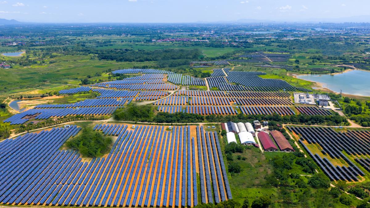 panouri solare fotovoltaice parc agrivoltaic