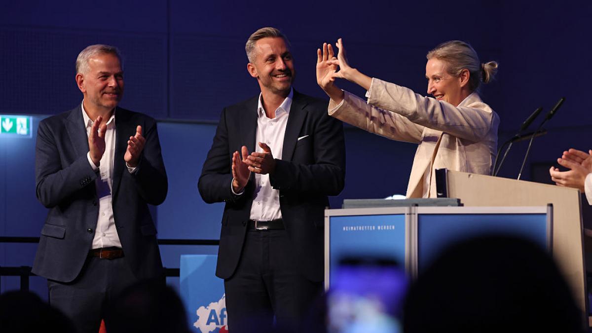 conducerea AfD la un miting electoral