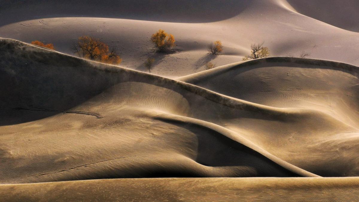 desert