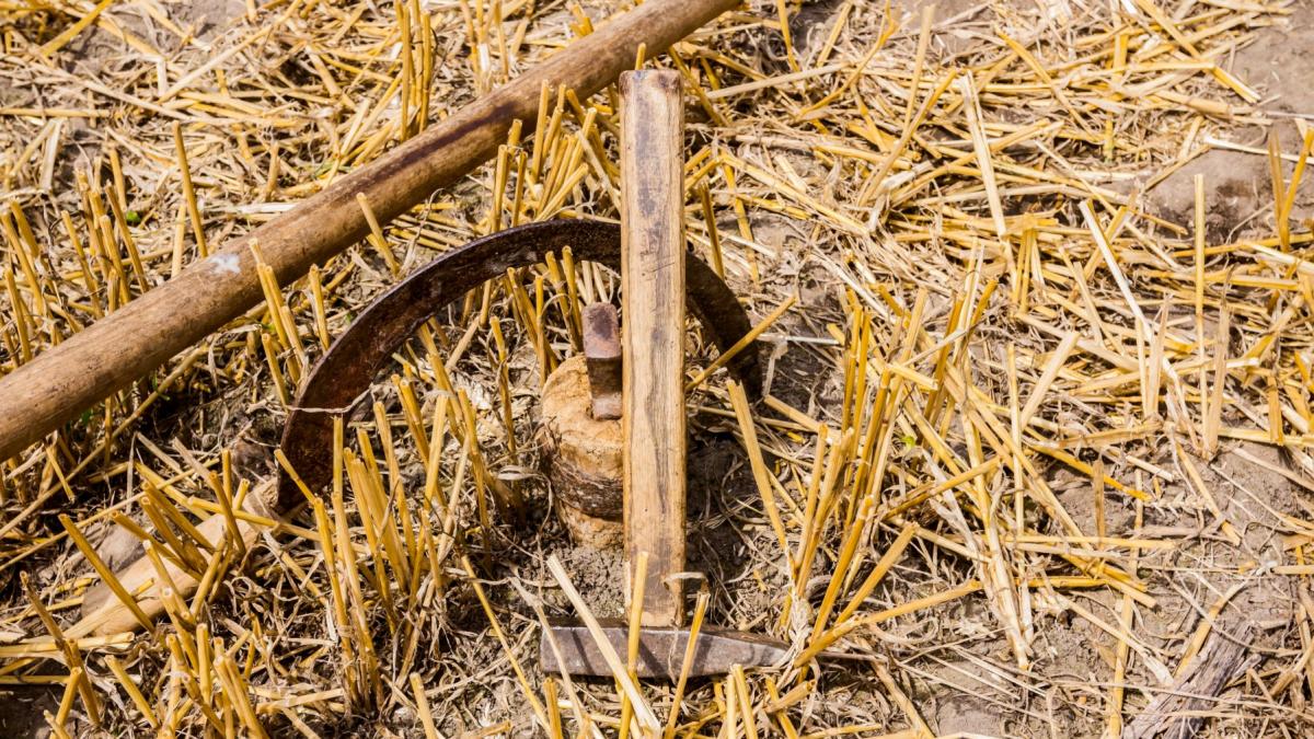 un ciocan pus pe pamant printre paie